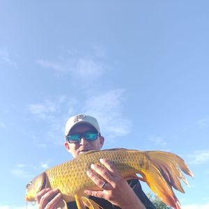 Meet your Posher, Kyle